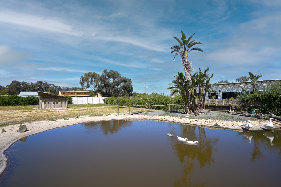 Commercial Property for Sale in Cape Farms Western Cape